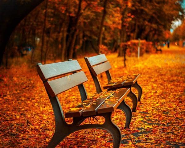 Bột trét tường