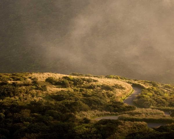 Sơn lau gỗ TP Premium